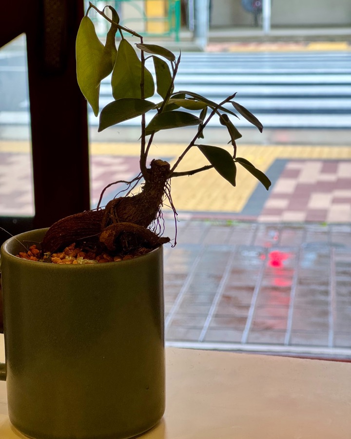 Instagramの投稿